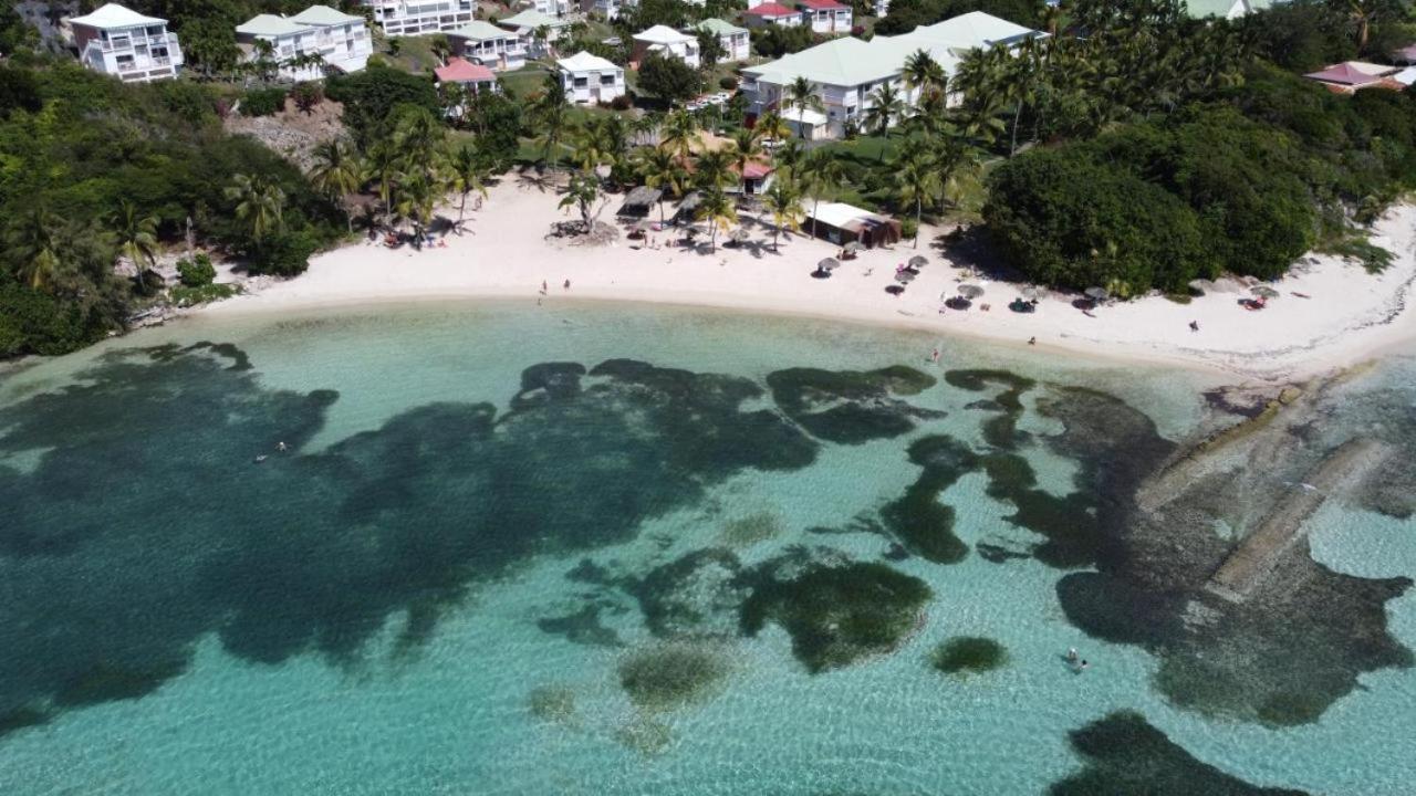 Chaleureux Studio 4 Personnes - Residence Anse Des Rochers - " Les Alizes Du Soir " Tout Equipe Et Citerne D'Eau Saint-Francois  Kültér fotó